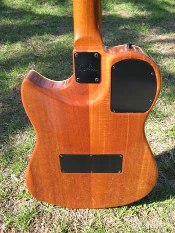 Godin Multiac Duet Back
